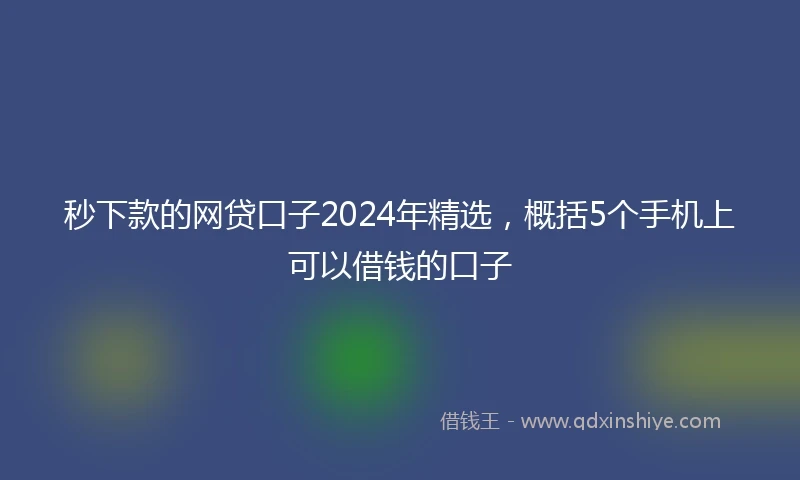 秒下款的网贷口子2024年精选，概括5个手机上可以借钱的口子