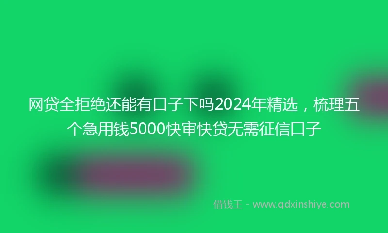 网贷全拒绝还能有口子下吗2024年精选，梳理五个急用钱5000快审快贷无需征信口子