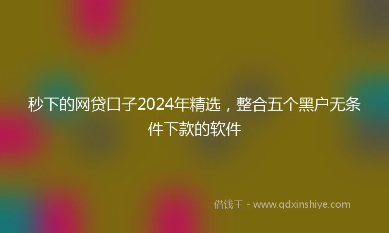 秒下的网贷口子2024年精选，整合五个黑户无条件下款的软件