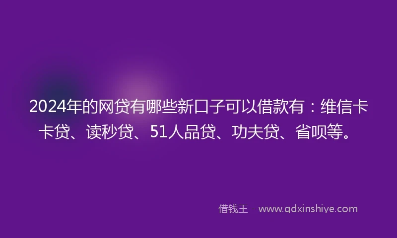 2024年的网贷有哪些新口子可以借款有：维信卡卡贷、读秒贷、51人品贷、功夫贷、省呗等。
