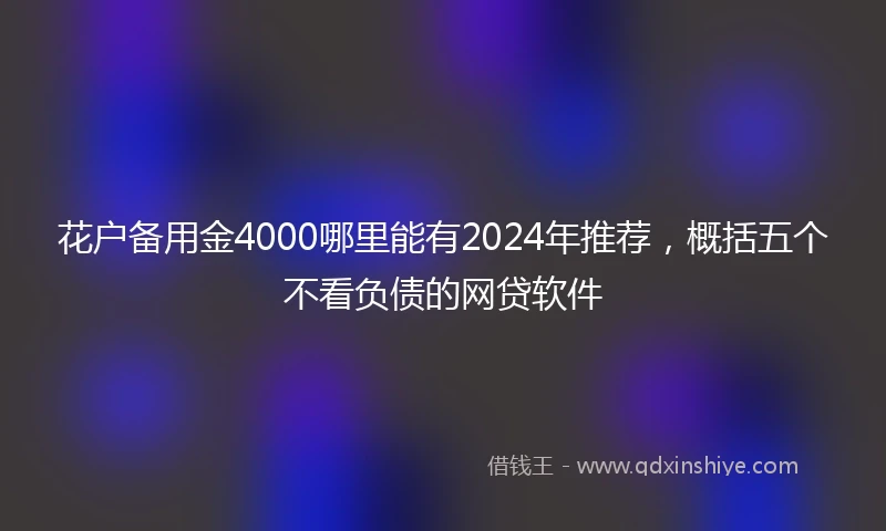 花户备用金4000哪里能有2024年推荐，概括五个不看负债的网贷软件
