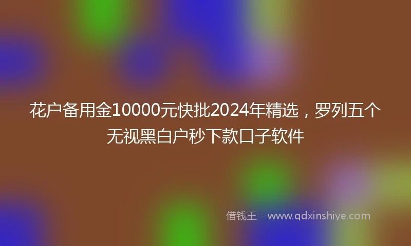 花户备用金10000元快批2024年精选，罗列五个无视黑白户秒下款口子软件