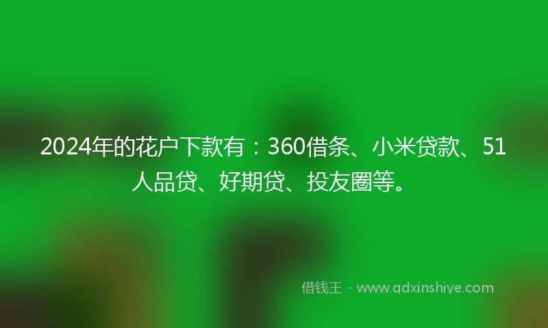 2024年的花户下款有：360借条、小米贷款、51人品贷、好期贷、投友圈等。