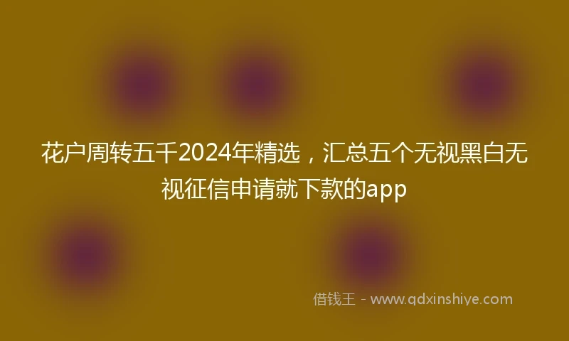 花户周转五千2024年精选，汇总五个无视黑白无视征信申请就下款的app