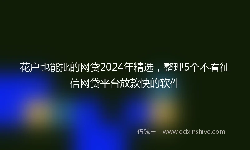 花户也能批的网贷2024年精选，整理5个不看征信网贷平台放款快的软件