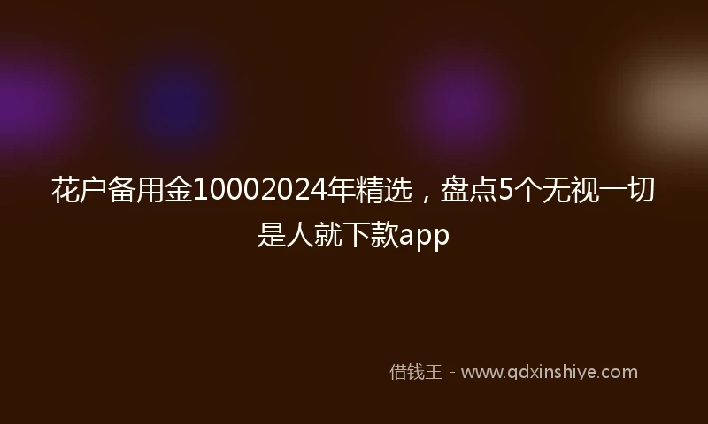 花户备用金10002024年精选，盘点5个无视一切是人就下款app