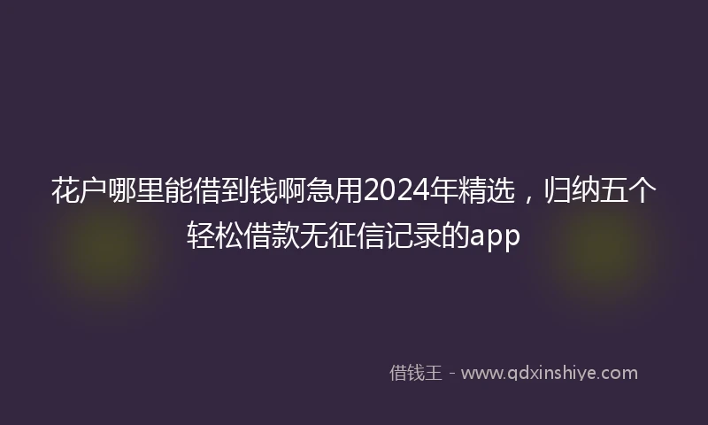 花户哪里能借到钱啊急用2024年精选，归纳五个轻松借款无征信记录的app