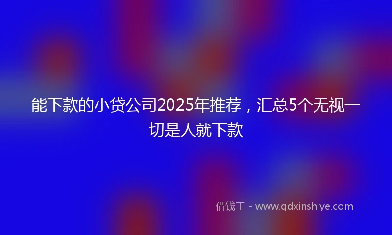 能下款的小贷公司2025年推荐，汇总5个无视一切是人就下款