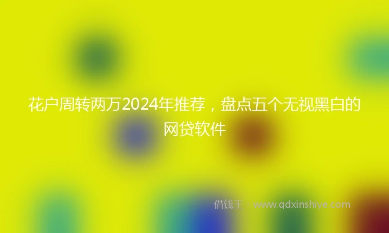 花户周转两万2024年推荐，盘点五个无视黑白的网贷软件