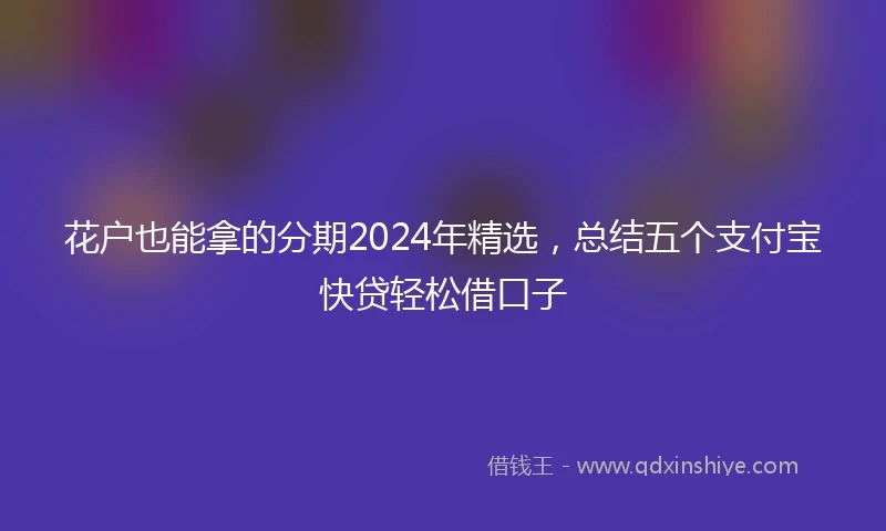 花户也能拿的分期2024年精选，总结五个支付宝快贷轻松借口子