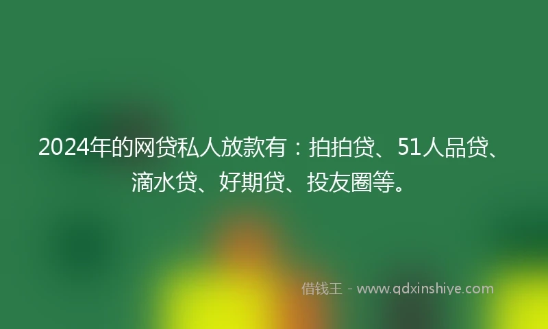 2024年的网贷私人放款有：拍拍贷、51人品贷、滴水贷、好期贷、投友圈等。