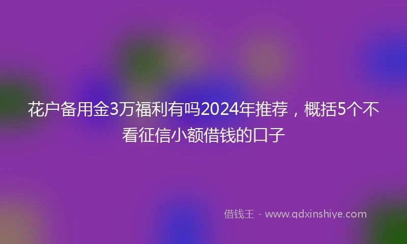 花户备用金3万福利有吗2024年推荐，概括5个不看征信小额借钱的口子