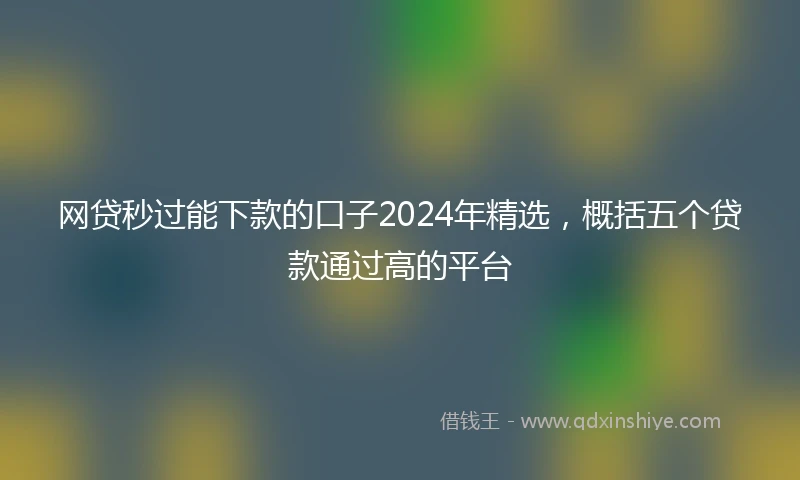 网贷秒过能下款的口子2024年精选，概括五个贷款通过高的平台