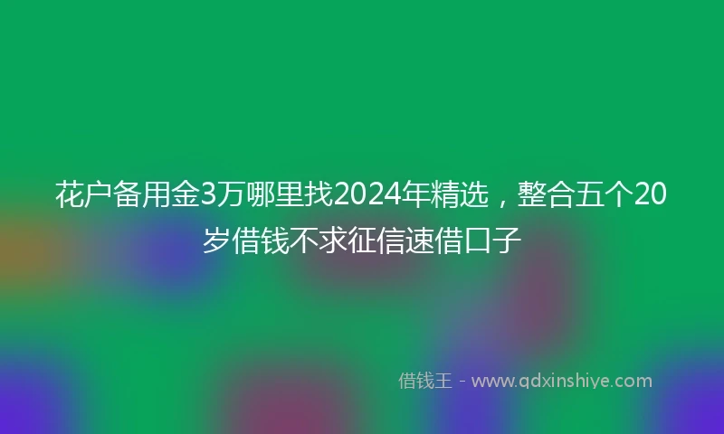 花户备用金3万哪里找2024年精选，整合五个20岁借钱不求征信速借口子