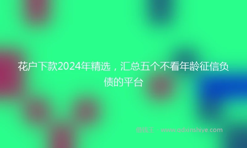 花户下款2024年精选，汇总五个不看年龄征信负债的平台