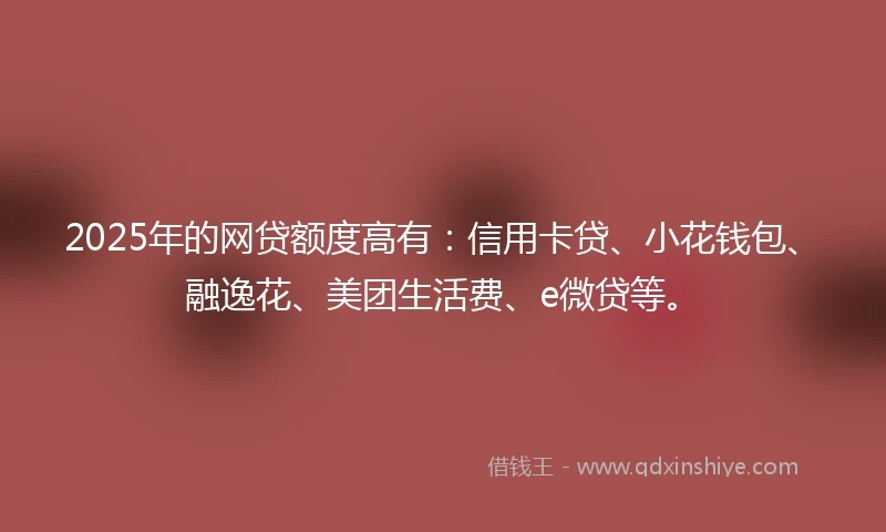 2025年的网贷额度高有：信用卡贷、小花钱包、融逸花、美团生活费、e微贷等。