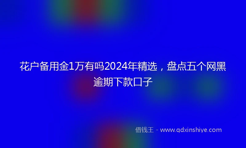 花户备用金1万有吗2024年精选，盘点五个网黑逾期下款口子