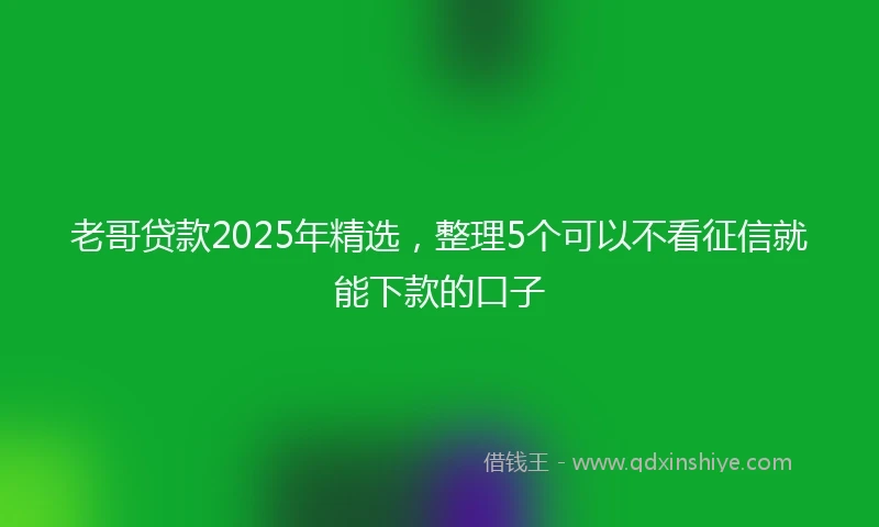 老哥贷款2025年精选，整理5个可以不看征信就能下款的口子