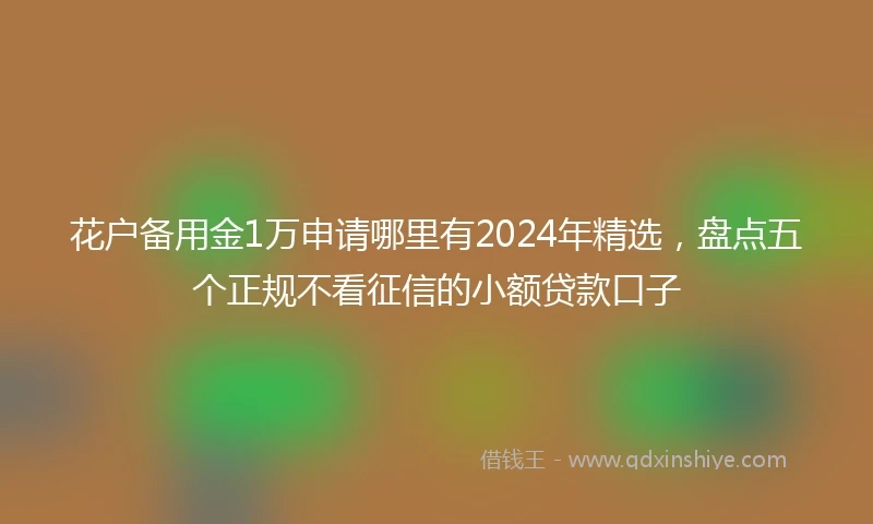 花户备用金1万申请哪里有2024年精选，盘点五个正规不看征信的小额贷款口子