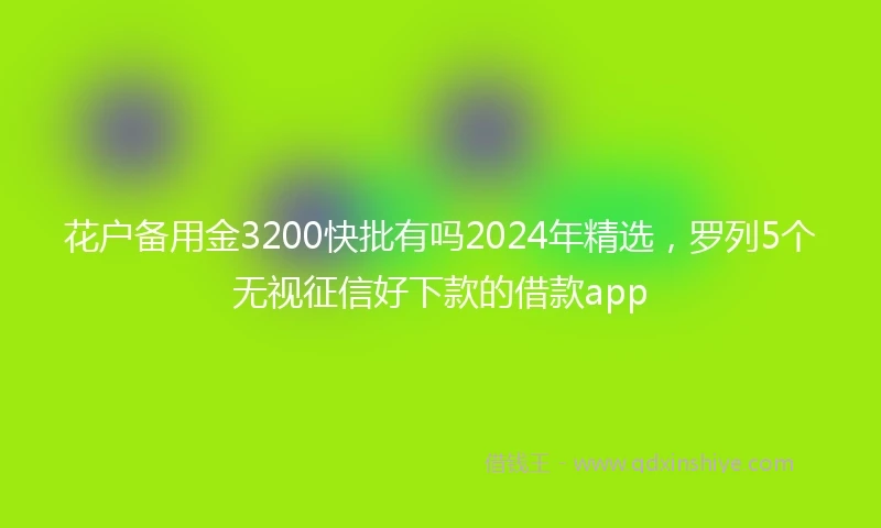 花户备用金3200快批有吗2024年精选，罗列5个无视征信好下款的借款app
