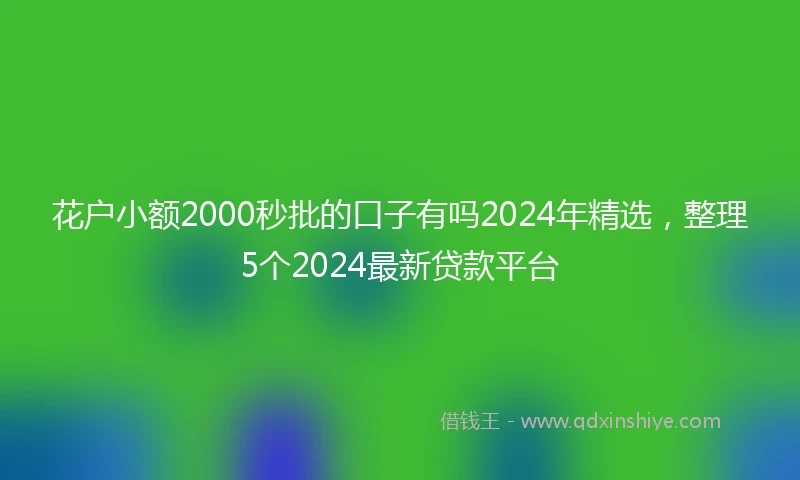 花户小额2000秒批的口子有吗2024年精选,整理5个2024最新贷款平台