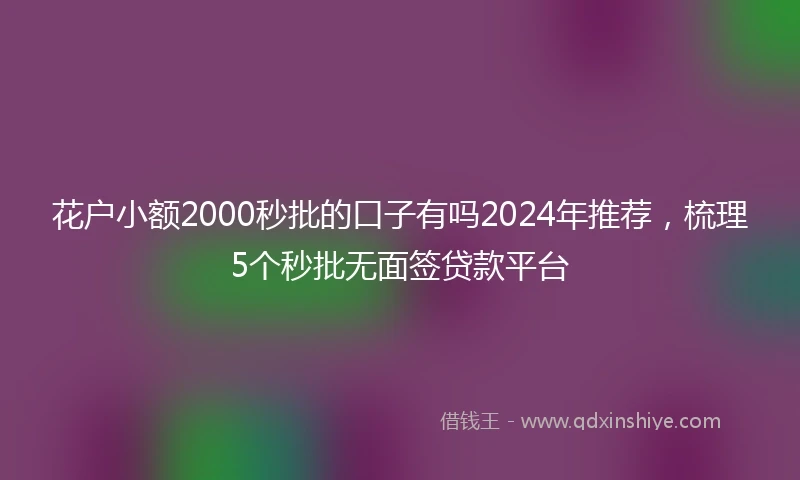花户小额2000秒批的口子有吗2024年推荐，梳理5个秒批无面签贷款平台