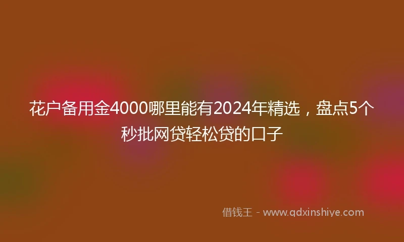 花户备用金4000哪里能有2024年精选，盘点5个秒批网贷轻松贷的口子