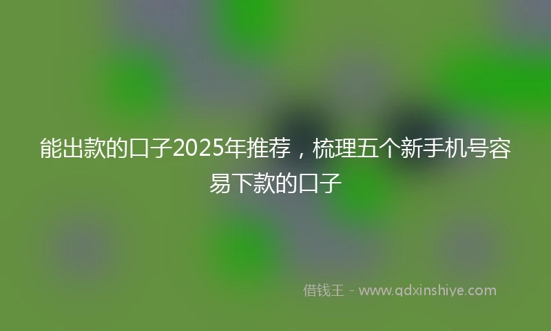 能出款的口子2025年推荐，梳理五个新手机号容易下款的口子