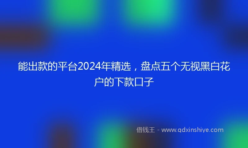 能出款的平台2024年精选，盘点五个无视黑白花户的下款口子