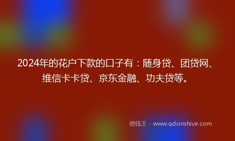2024年的花户下款的口子有：随身贷、团贷网、维信卡卡贷、京东金融、功夫贷等。