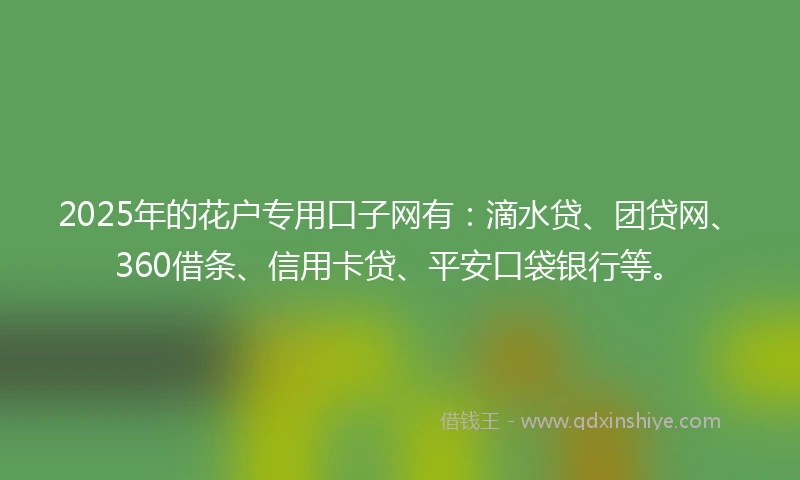 2025年的花户专用口子网有：滴水贷、团贷网、360借条、信用卡贷、平安口袋银行等。