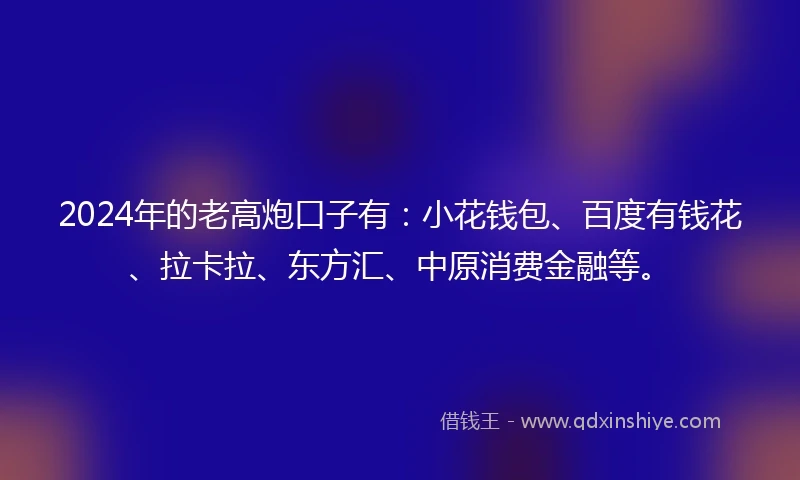 2024年的老高炮口子有：小花钱包、百度有钱花、拉卡拉、东方汇、中原消费金融等。
