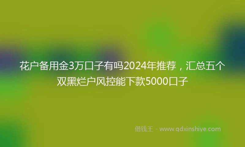 花户备用金3万口子有吗2024年推荐，汇总五个双黑烂户风控能下款5000口子