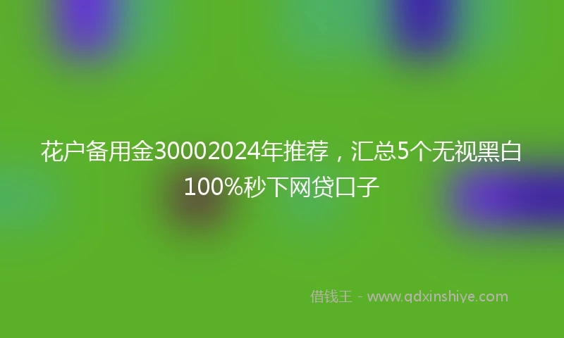 花户备用金30002024年推荐，汇总5个无视黑白100%秒下网贷口子