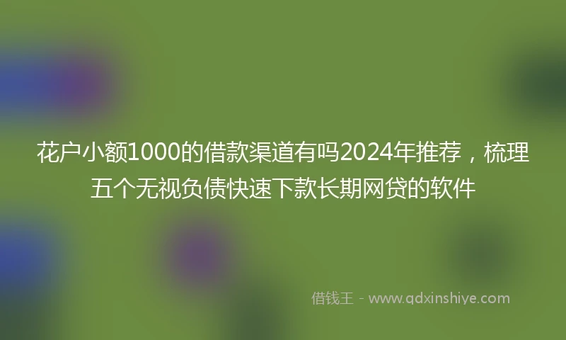 花户小额1000的借款渠道有吗2024年推荐,梳理五个无视负债快速下款长期网贷的软件