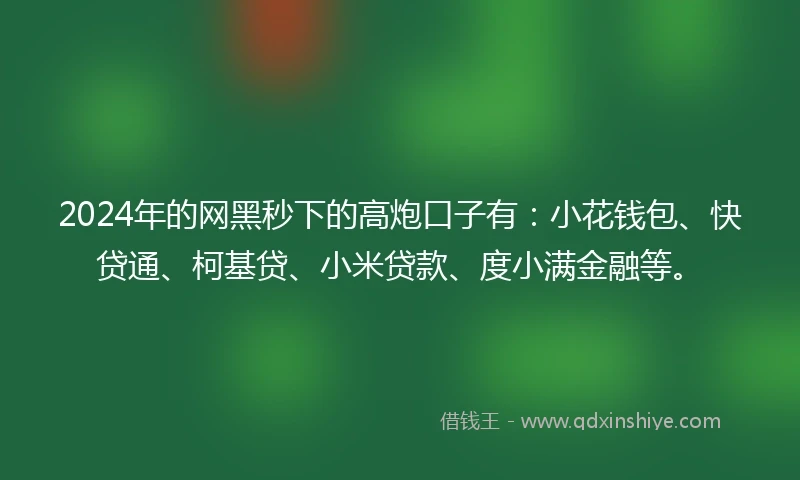 2024年的网黑秒下的高炮口子有：小花钱包、快贷通、柯基贷、小米贷款、度小满金融等。