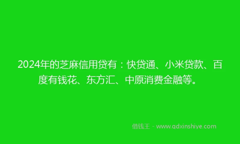 2024年的芝麻信用贷有：快贷通、小米贷款、百度有钱花、东方汇、中原消费金融等。