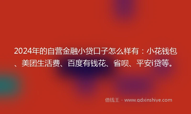 2024年的自营金融小贷口子怎么样有：小花钱包、美团生活费、百度有钱花、省呗、平安i贷等。