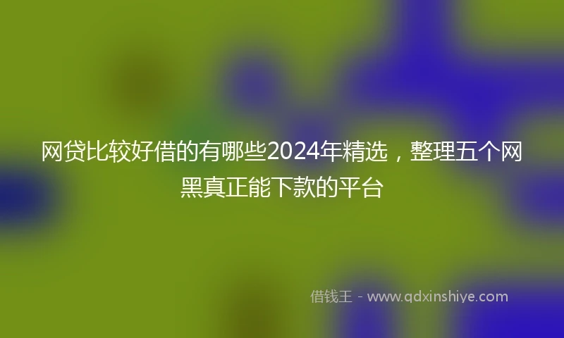 网贷比较好借的有哪些2024年精选，整理五个网黑真正能下款的平台