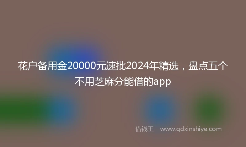 花户备用金20000元速批2024年精选，盘点五个不用芝麻分能借的app