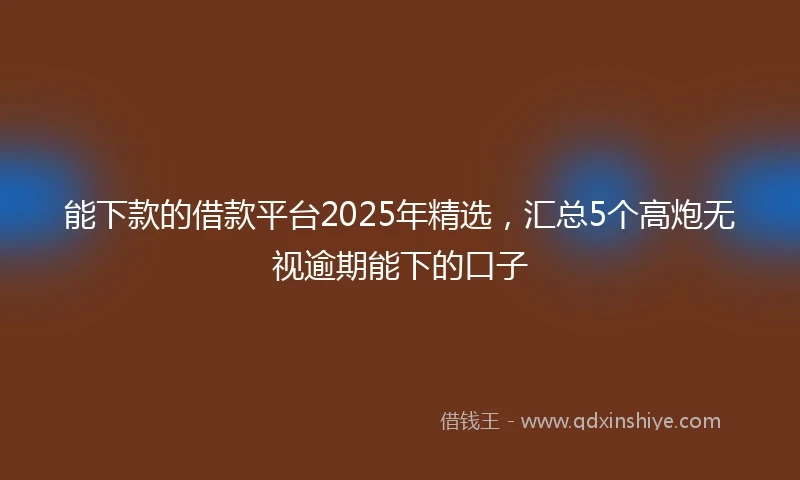 能下款的借款平台2025年精选，汇总5个高炮无视逾期能下的口子