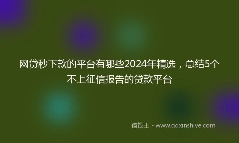 网贷秒下款的平台有哪些2024年精选，总结5个不上征信报告的贷款平台