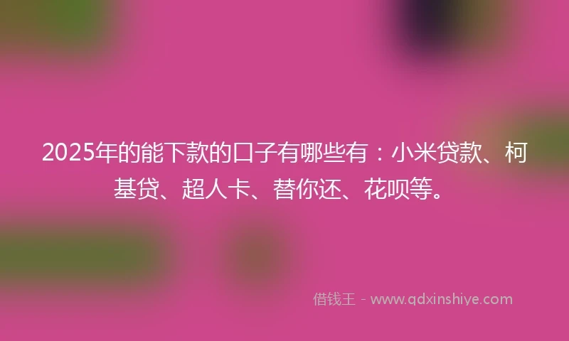 2025年的能下款的口子有哪些有：小米贷款、柯基贷、超人卡、替你还、花呗等。