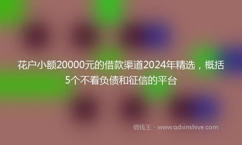 花户小额20000元的借款渠道2024年精选，概括5个不看负债和征信的平台