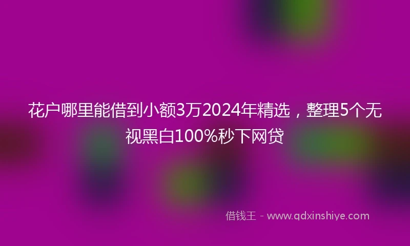 花户哪里能借到小额3万2024年精选，整理5个无视黑白100%秒下网贷