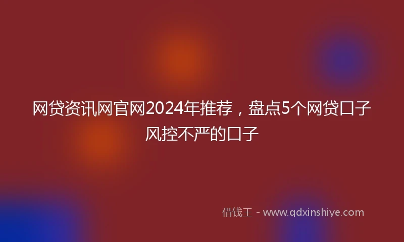 网贷资讯网官网2024年推荐，盘点5个网贷口子风控不严的口子