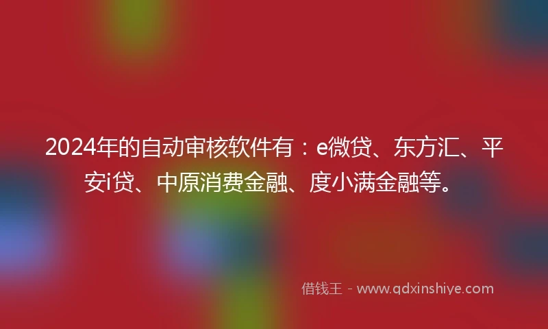 2024年的自动审核软件有：e微贷、东方汇、平安i贷、中原消费金融、度小满金融等。