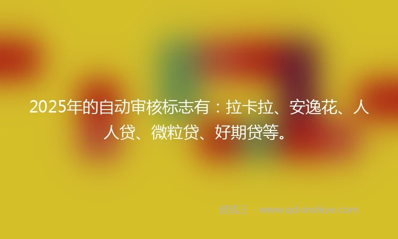 2025年的自动审核标志有:拉卡拉、安逸花、人人贷、微粒贷、好期贷等。