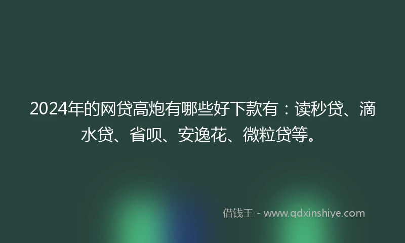 2024年的网贷高炮有哪些好下款有：读秒贷、滴水贷、省呗、安逸花、微粒贷等。