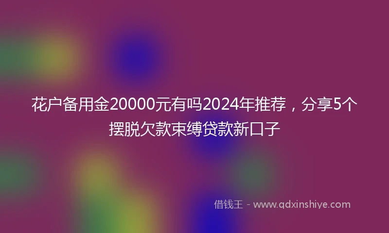 花户备用金20000元有吗2024年推荐，分享5个摆脱欠款束缚贷款新口子
